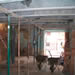Reformas y rehabilitaciones